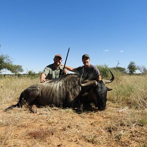 Hunting Blue Wildebeest in Namibia