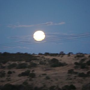 Full Moon South Africa