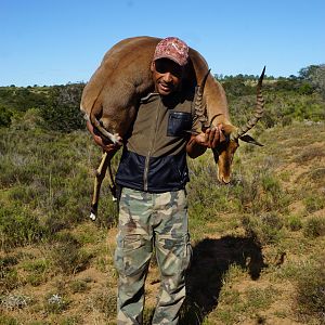 South Africa Hunting Impala