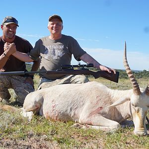 White Blesbok Hunting South Africa