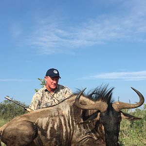 Hunt Blue Wildebeest in South Africa