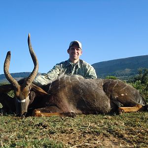 South Africa Hunt Nyala