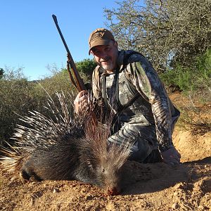 African Porcupine Hunting in South Africa