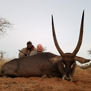 Waterbuck Hunt South Africa