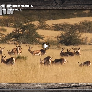 Local Perceptions Of Safari Hunting In Namibia