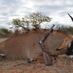 Roan Hunt South Africa