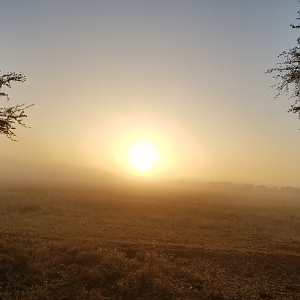 Sunrise in South Africa