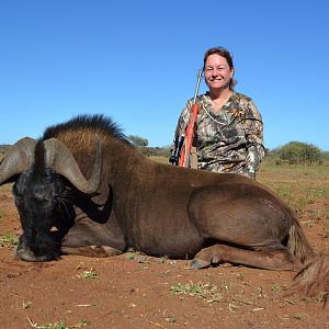 Hunting Black Wildebeest in South Africa