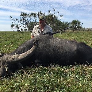 Asiatic Water Buffalo Hunting Northern Territory Australia