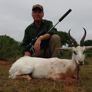 White Springbok Hunting South Africa