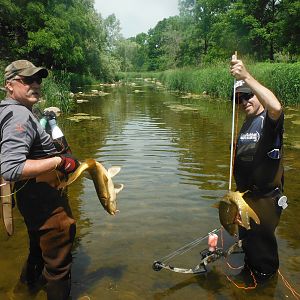 Bow Fishing Carp