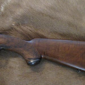 Army Navy Co-Op Society Rifle chambered in 404 Jeffery