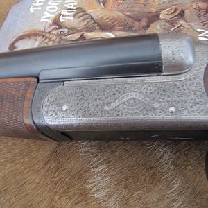 Jeffery and Son Double Rifle chambered in 450 Nitro No 2