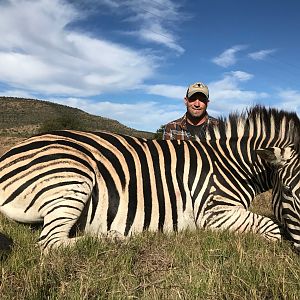 Burchell's Plain Zebra Hunt South Africa