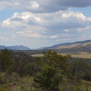 South Africa Hunt