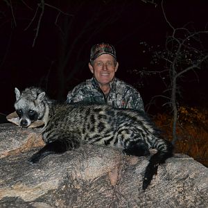 African Civet Cat Hunting in South Africa
