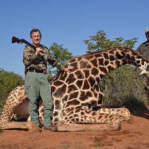 Giraffe Hunt in South Africa