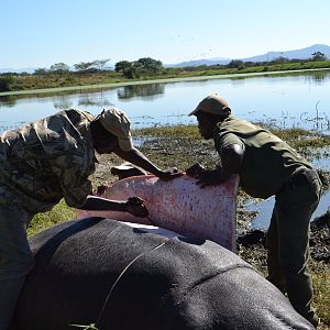 Skinning Hippo
