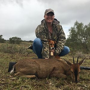 South Africa Hunt Duiker