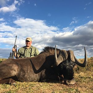 Black Wildebeest Hunt in South Africa