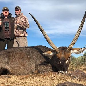 Hunting Waterbuck in South Africa