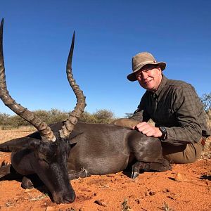 Hunt Black Impala in South Africa