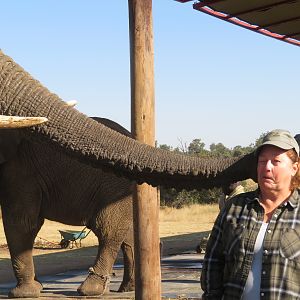 Elephant Park Experience