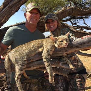 African Wildcat Hunt in South Africa