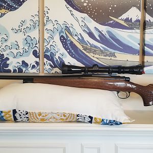 Remington 700 Rem 8mm Rifle