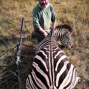 South Africa Hunt Burchell's Plain Zebra