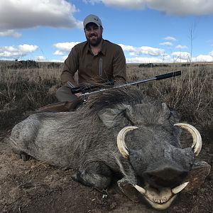 Hunting Warthog South Africa