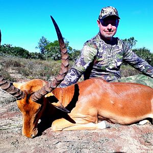 South Africa Hunt Impala