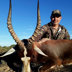 Blesbok Hunting in South Africa