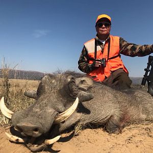 Hunt Warthog South Africa