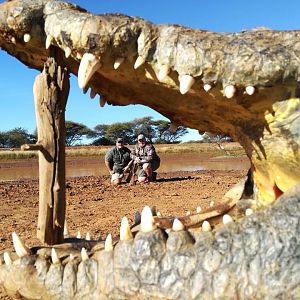 South Africa Hunting Crocodile