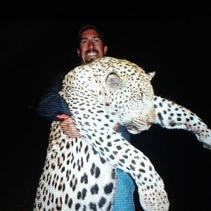 Namibia Hunt Leopard