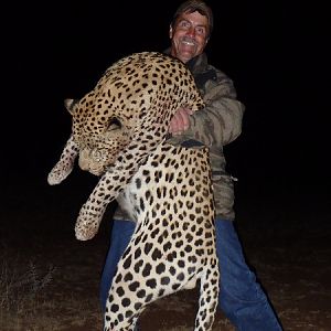 Hunting Leopard Namibia