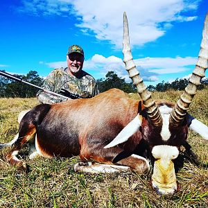 South Africa Hunt Blesbok