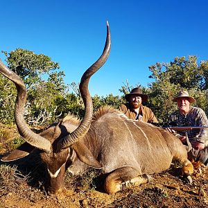 Kudu Hunting in South Africa