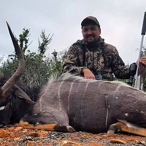 Nyala Hunting in South Africa