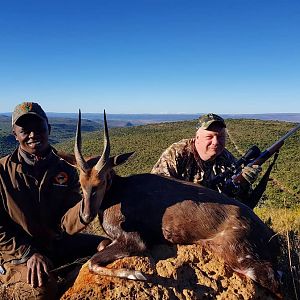 Hunt Bushbuck South Africa