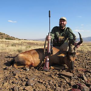 South Africa Hunt Red Hartebeest