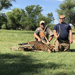 Axis Deer Hunt in Texas