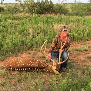 Texas Hunt Axis Deer