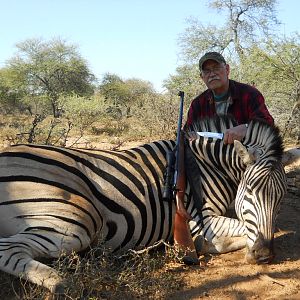 zebra in botswana
