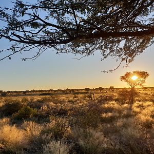 Hunting the Kalahari South Africa