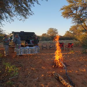 Kalahari South Africa Hunt