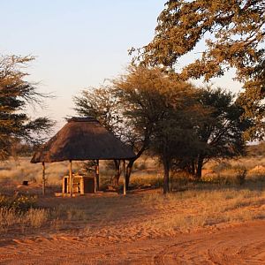Kalahari South Africa Hunting