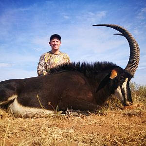 South Africa Hunting Sable