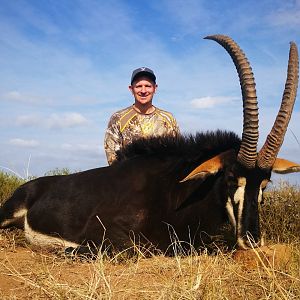 Hunt Sable Antelope South Africa